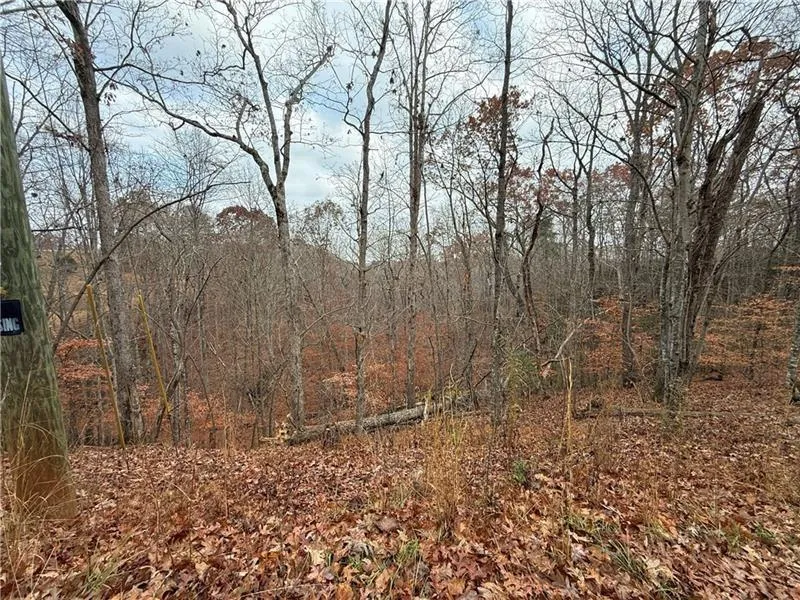 0 Falling Pines Road Dahlonega, GA 30533