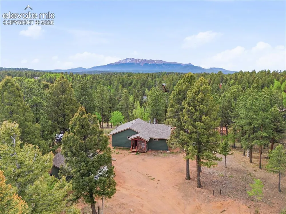 126 Aspen Circle Divide, CO 80814