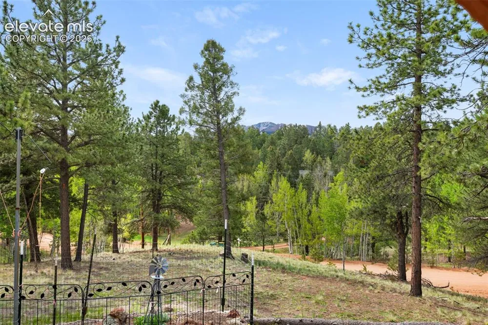 126 Aspen Circle Divide, CO 80814