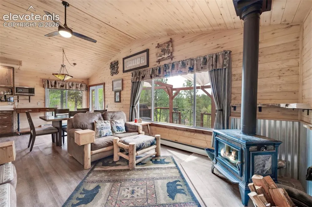 126 Aspen Circle Divide, CO 80814