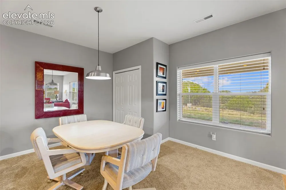 6040 Big Sky Drive Rye, CO 81069