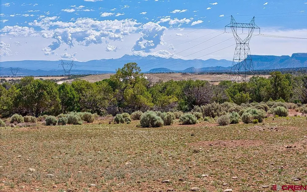 Road F Cortez, CO 81321