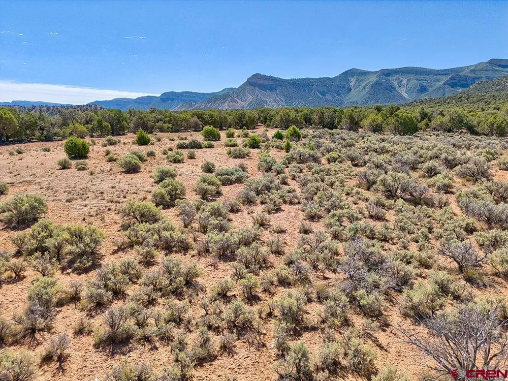Road F Cortez, CO 81321