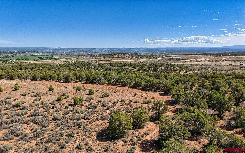 Road F Cortez, CO 81321