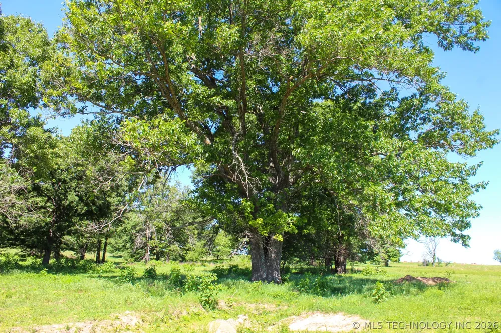 W 311th Street Depew, OK 74028