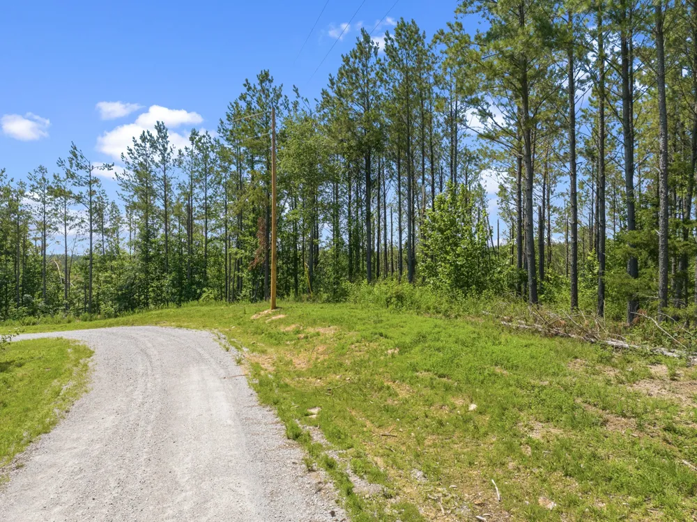 310 Highland Dr Linden, TN 37096