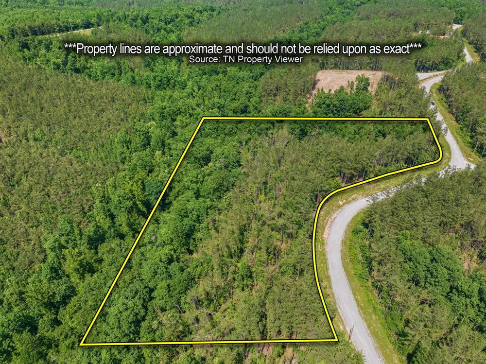 310 Highland Dr Linden, TN 37096