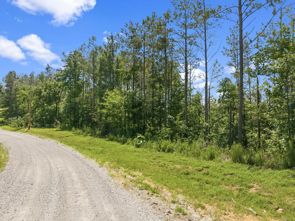 310 Highland Dr Linden, TN 37096