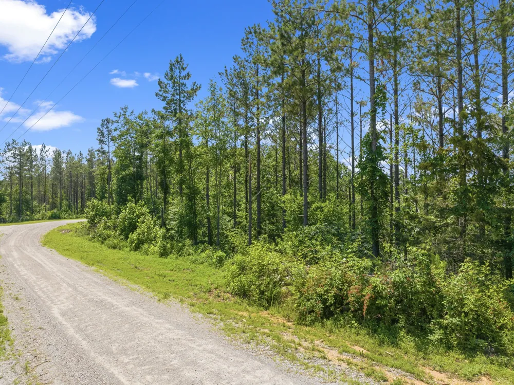 310 Highland Dr Linden, TN 37096