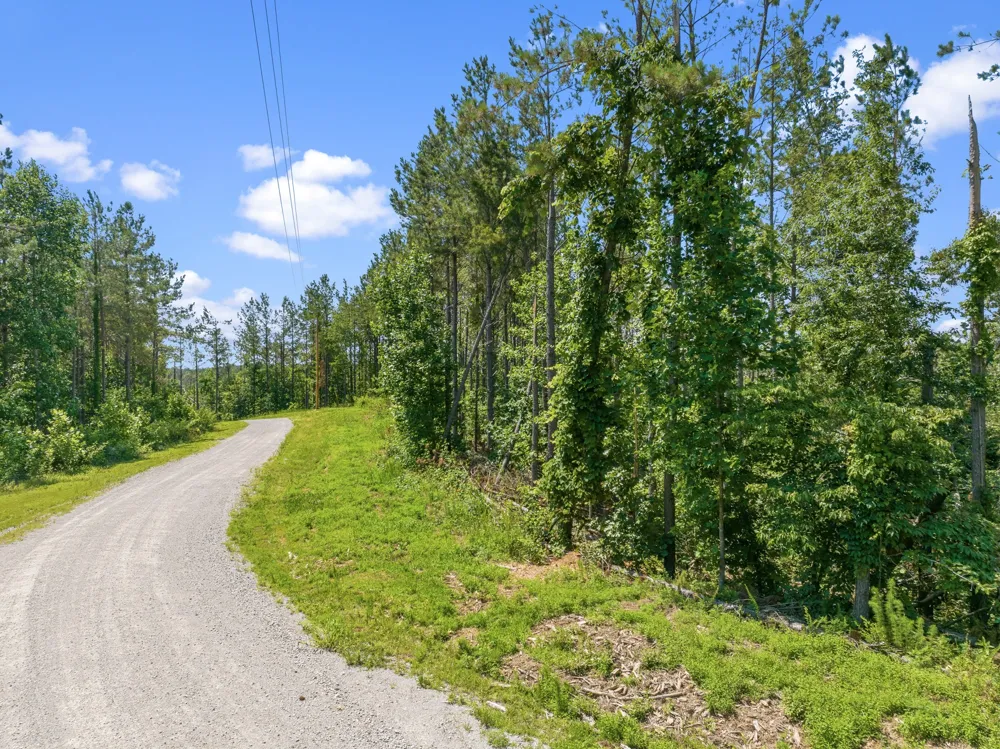 310 Highland Dr Linden, TN 37096