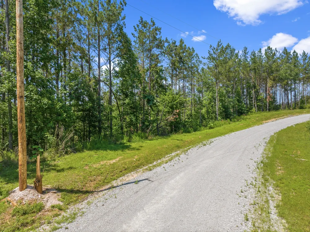 310 Highland Dr Linden, TN 37096