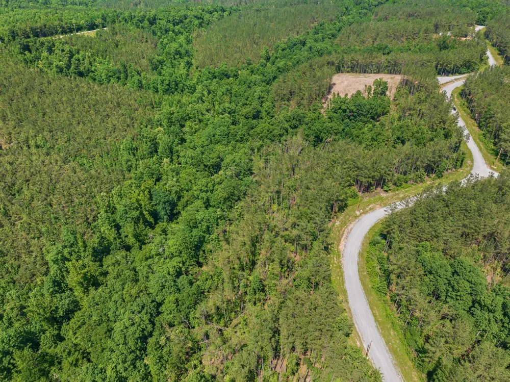 310 Highland Dr Linden, TN 37096