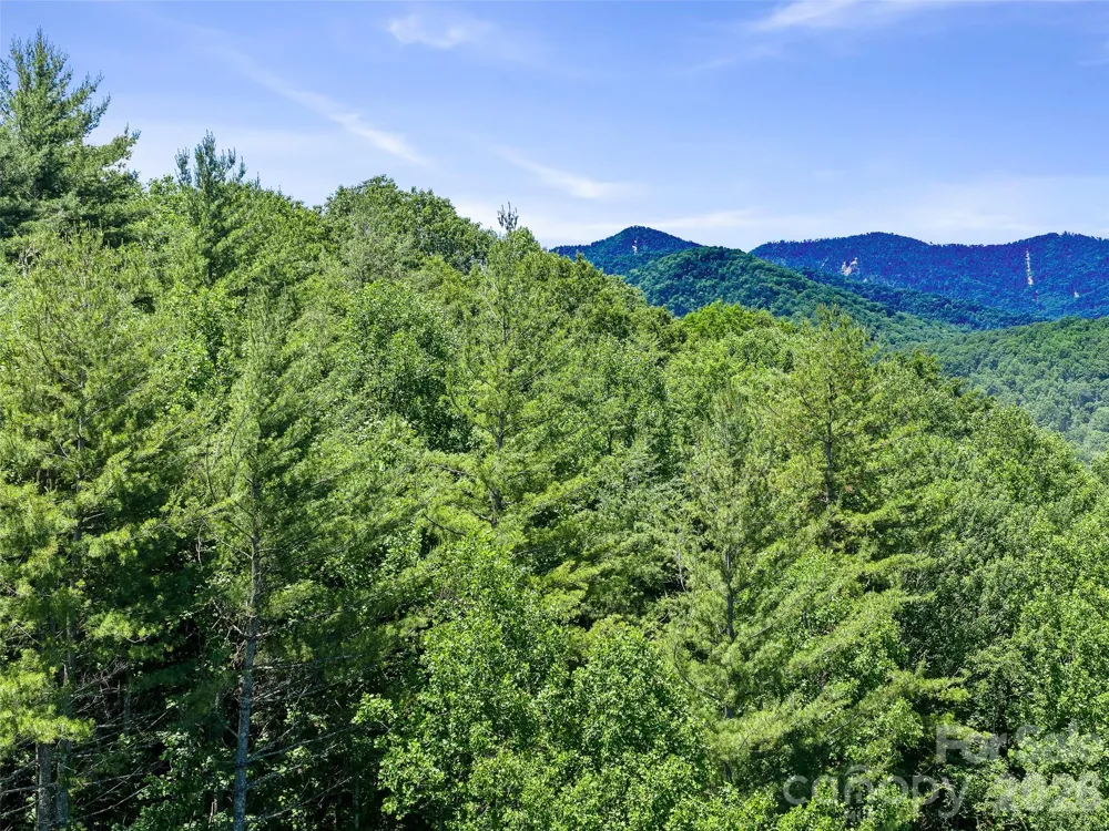 0 Moody Mountain Road Burnsville, NC 28714