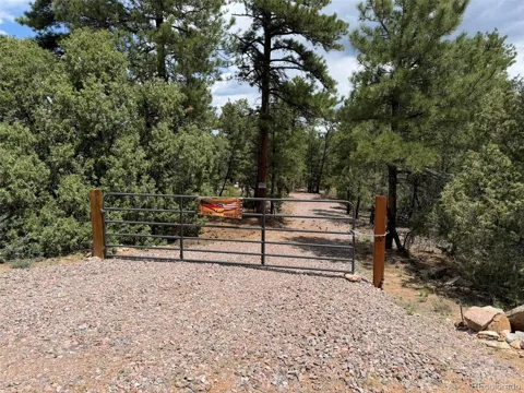165 Mosswood Drive