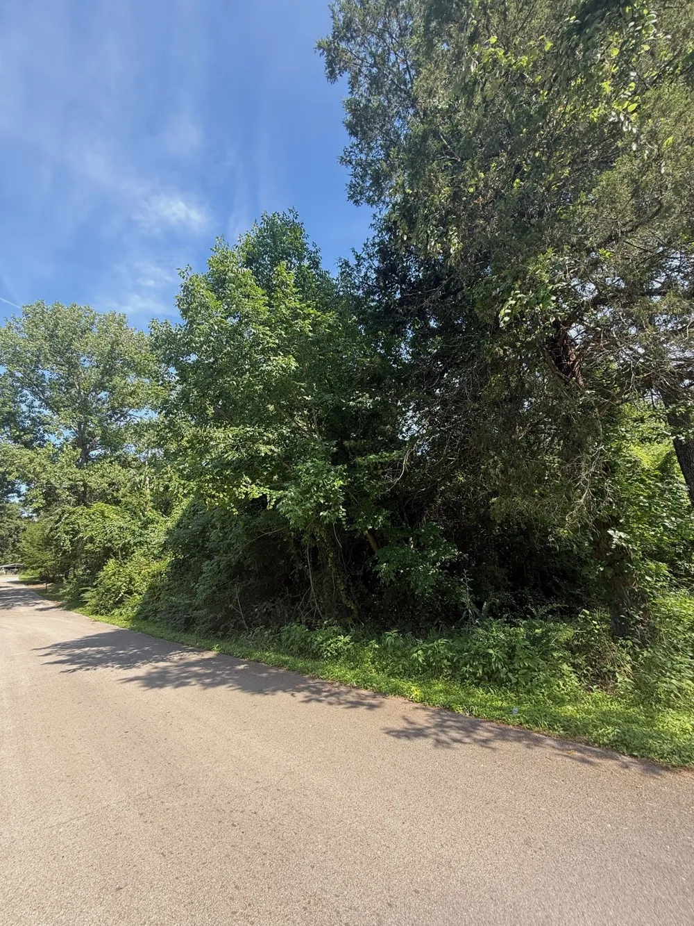 132 Ridgewood Drive Tool, TX 75143