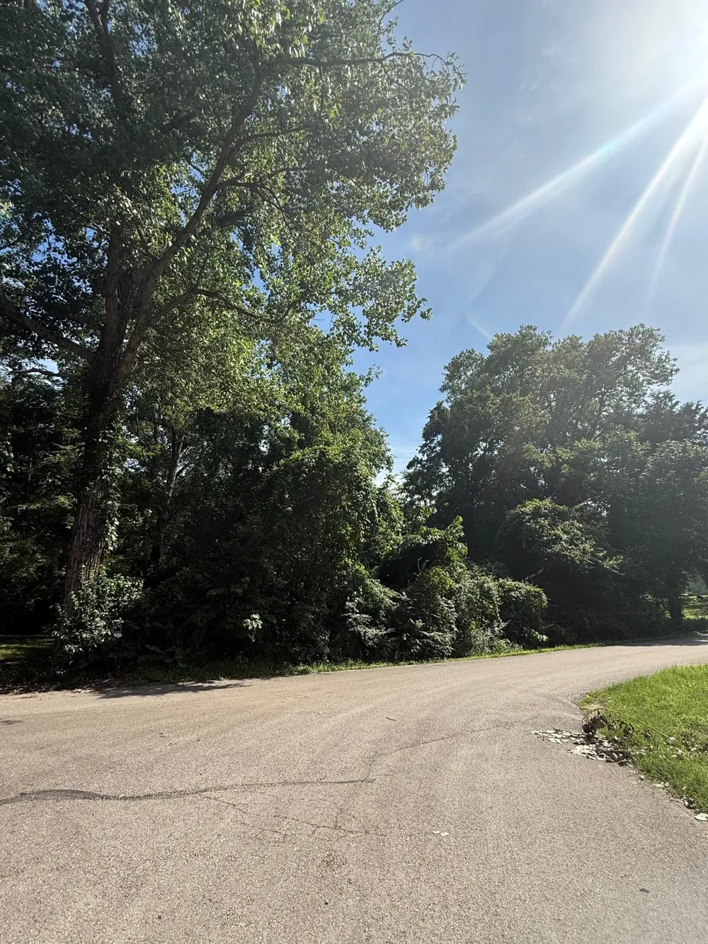 132 Ridgewood Drive Tool, TX 75143