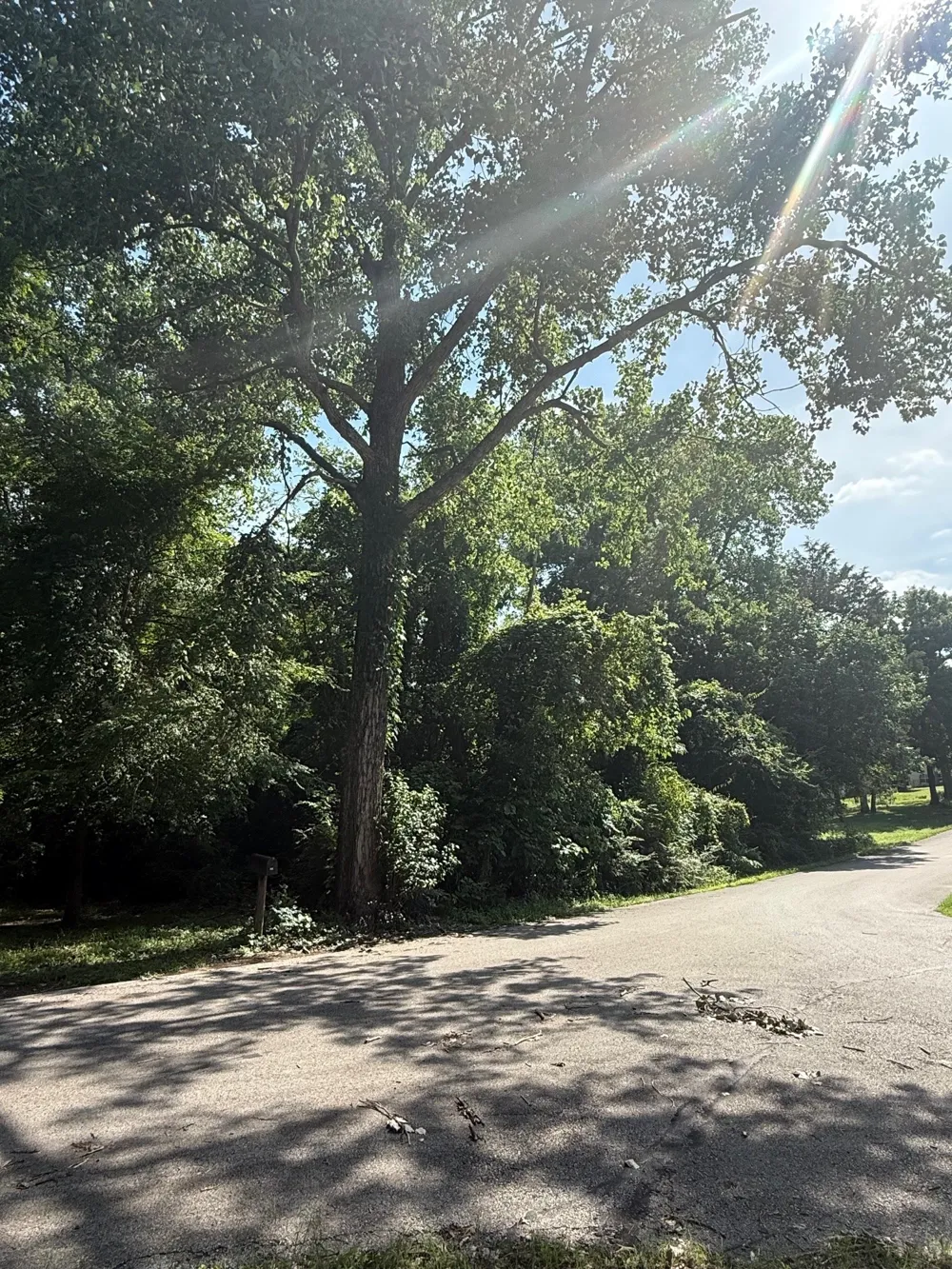132 Ridgewood Drive Tool, TX 75143