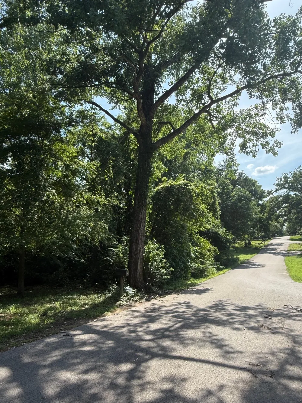 132 Ridgewood Drive Tool, TX 75143