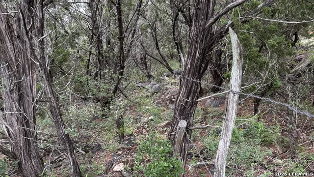 PR 1718 LOT 42 Pr 1718 Mico, TX 78056