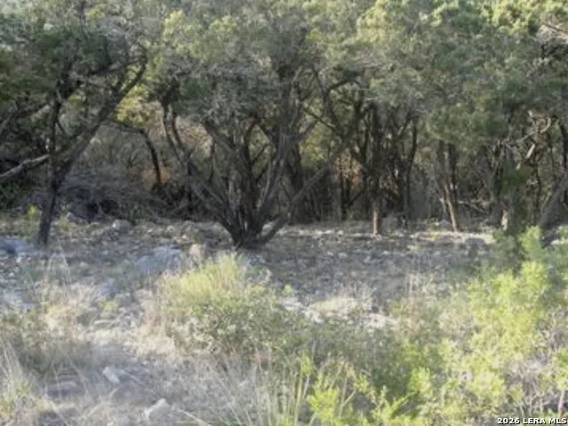 PR 1718 LOT 42 Pr 1718 Mico, TX 78056