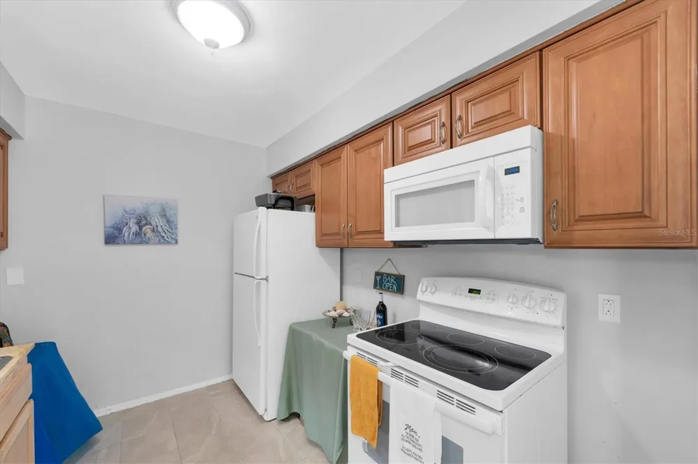55A DOLPHIN DRIVE Treasure Island, FL 33706