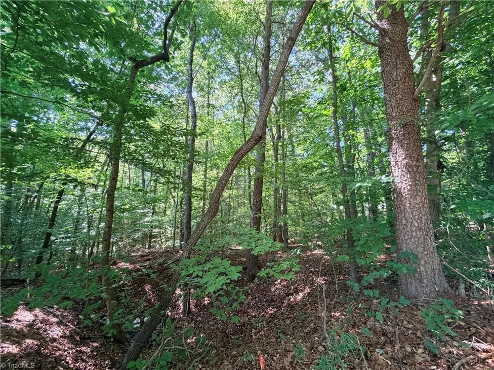 Lot 43 Cemetery Street Ronda, NC 28670