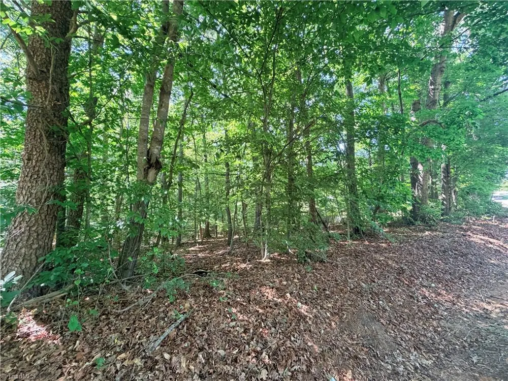 Lot 43 Cemetery Street Ronda, NC 28670