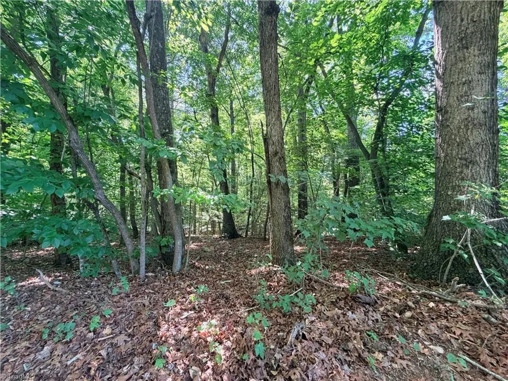 Lot 43 Cemetery Street Ronda, NC 28670