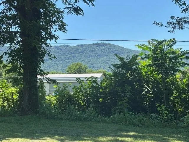 194 Patton Road Pikeville, TN 37367
