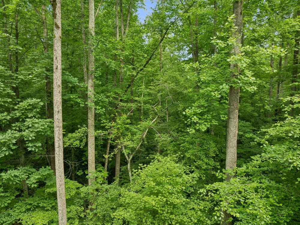 0 Davis Hollow Rd Franklin, TN 37064