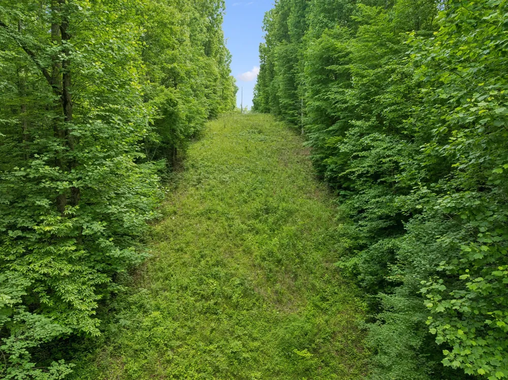 0 Davis Hollow Rd Franklin, TN 37064