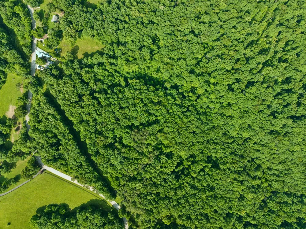 0 Davis Hollow Rd Franklin, TN 37064