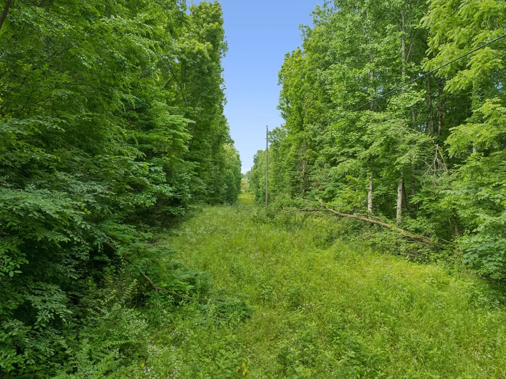 0 Davis Hollow Rd Franklin, TN 37064