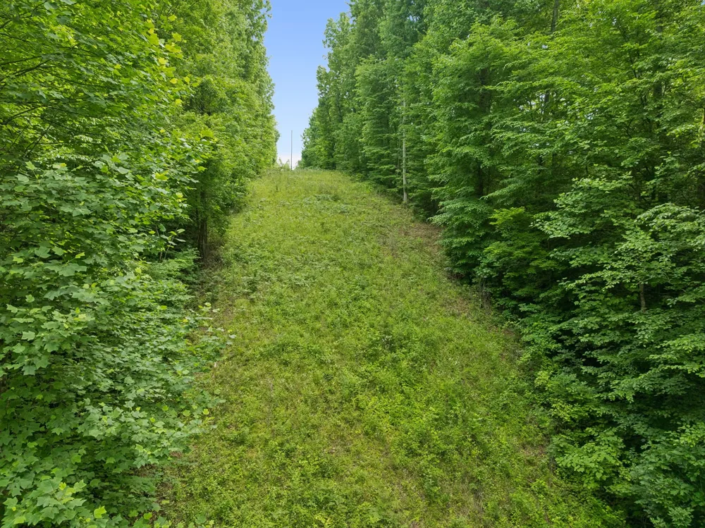 0 Davis Hollow Rd Franklin, TN 37064