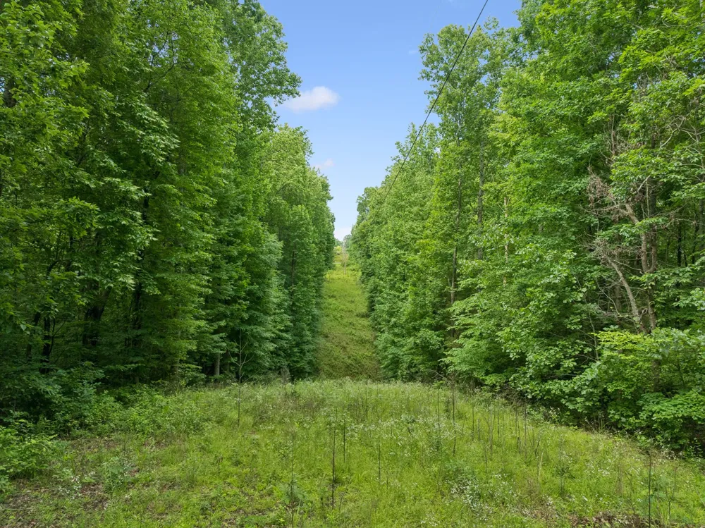 0 Davis Hollow Rd Franklin, TN 37064