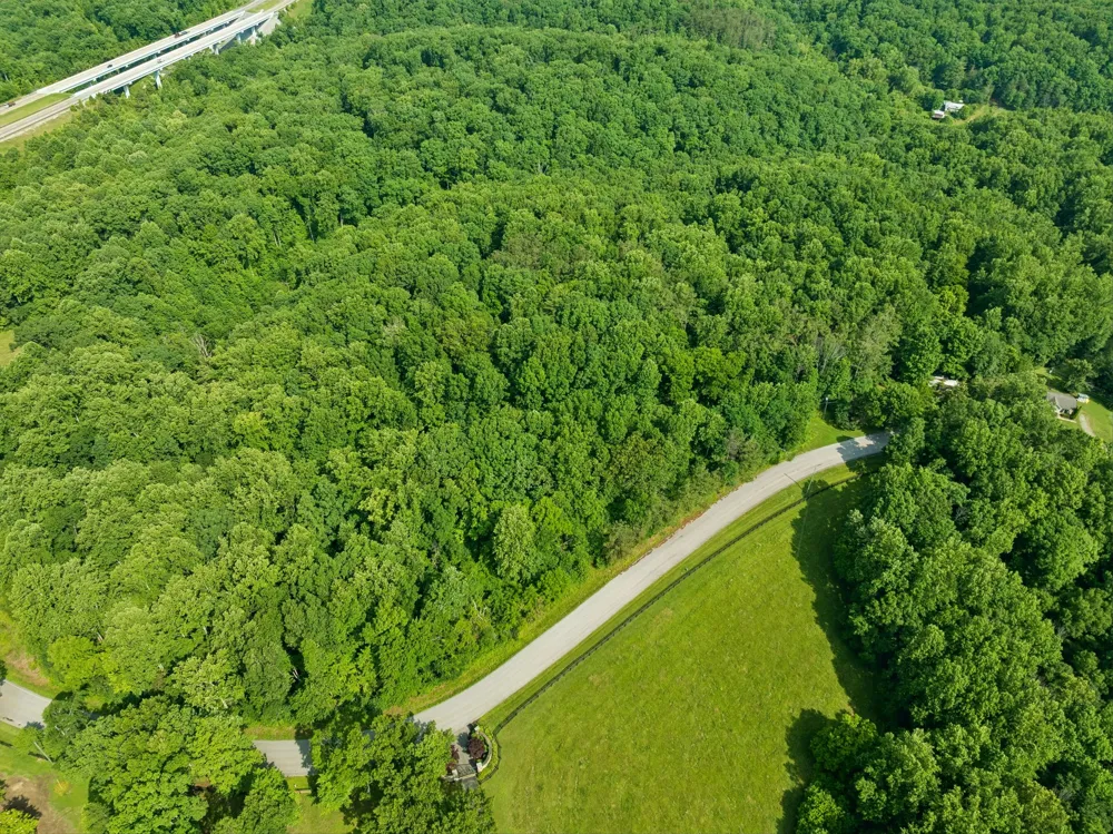 0 Davis Hollow Rd Franklin, TN 37064