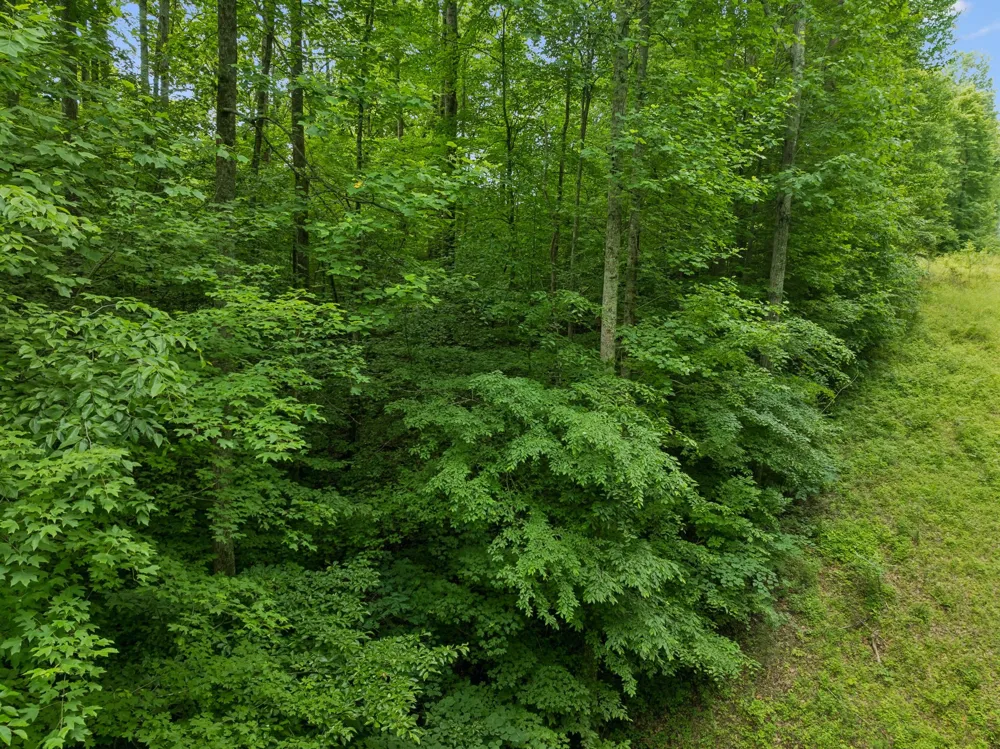 0 Davis Hollow Rd Franklin, TN 37064