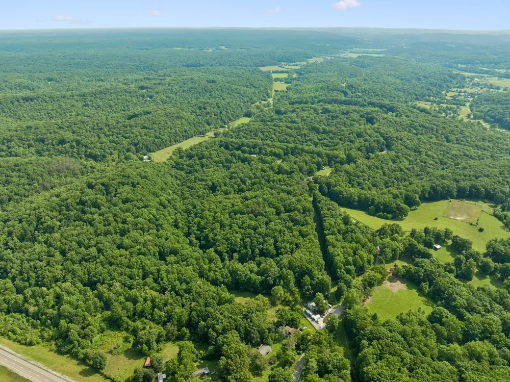 0 Davis Hollow Rd Franklin, TN 37064