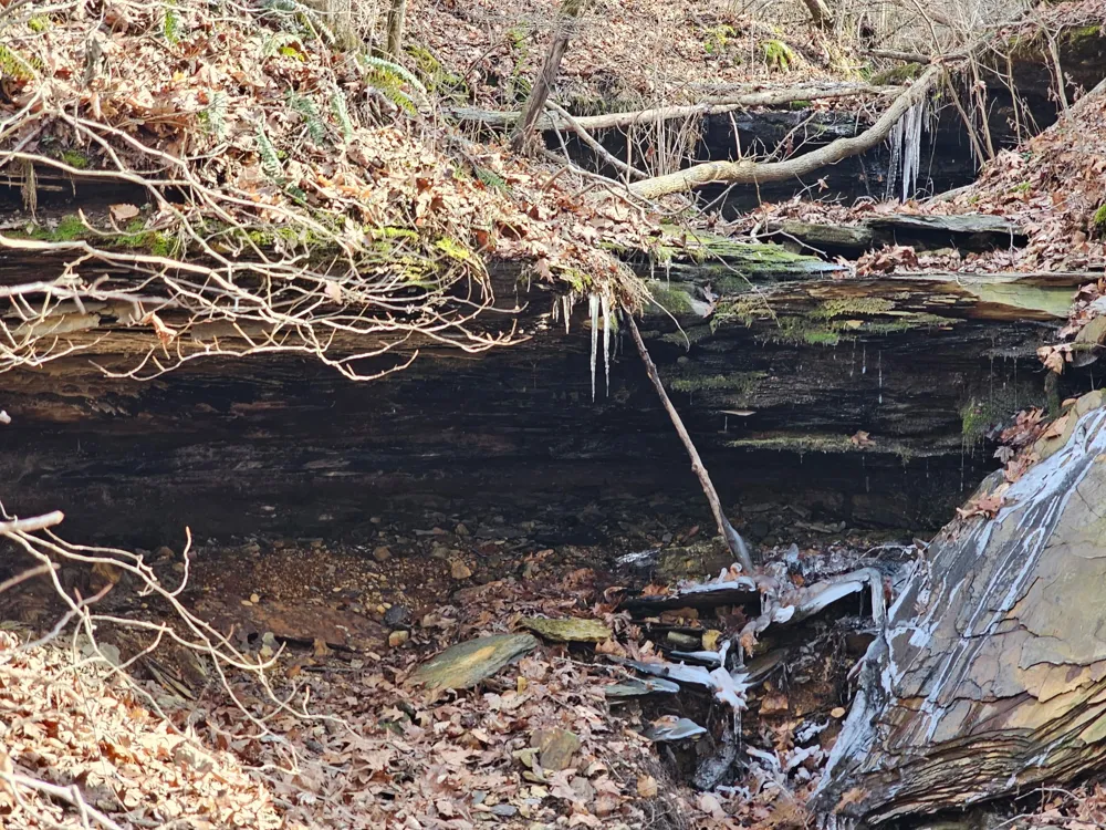 0 Davis Hollow Rd Franklin, TN 37064