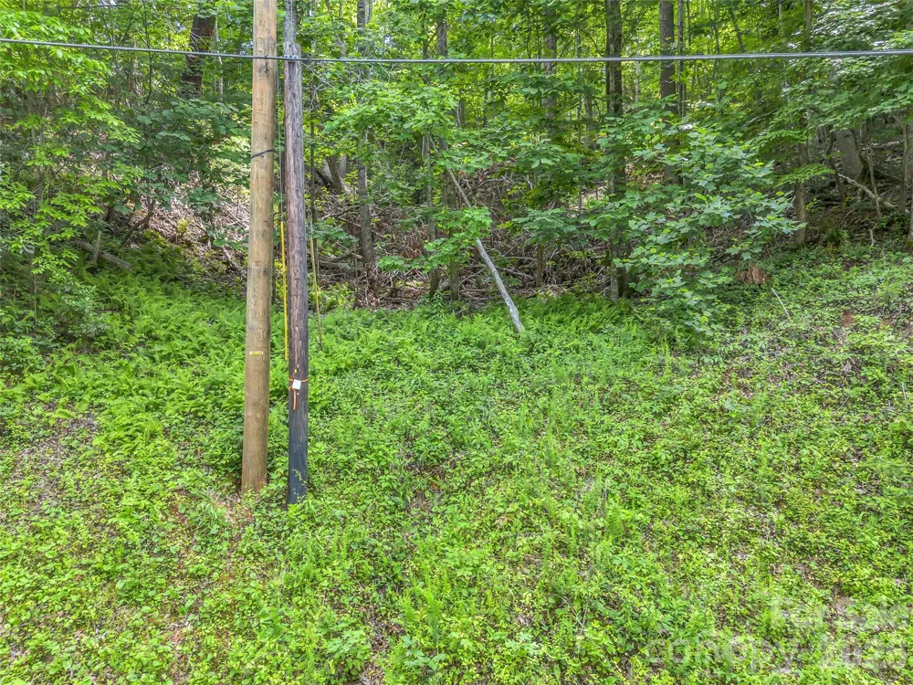 00 Rainbow Circle #11 Lake Lure, NC 28746