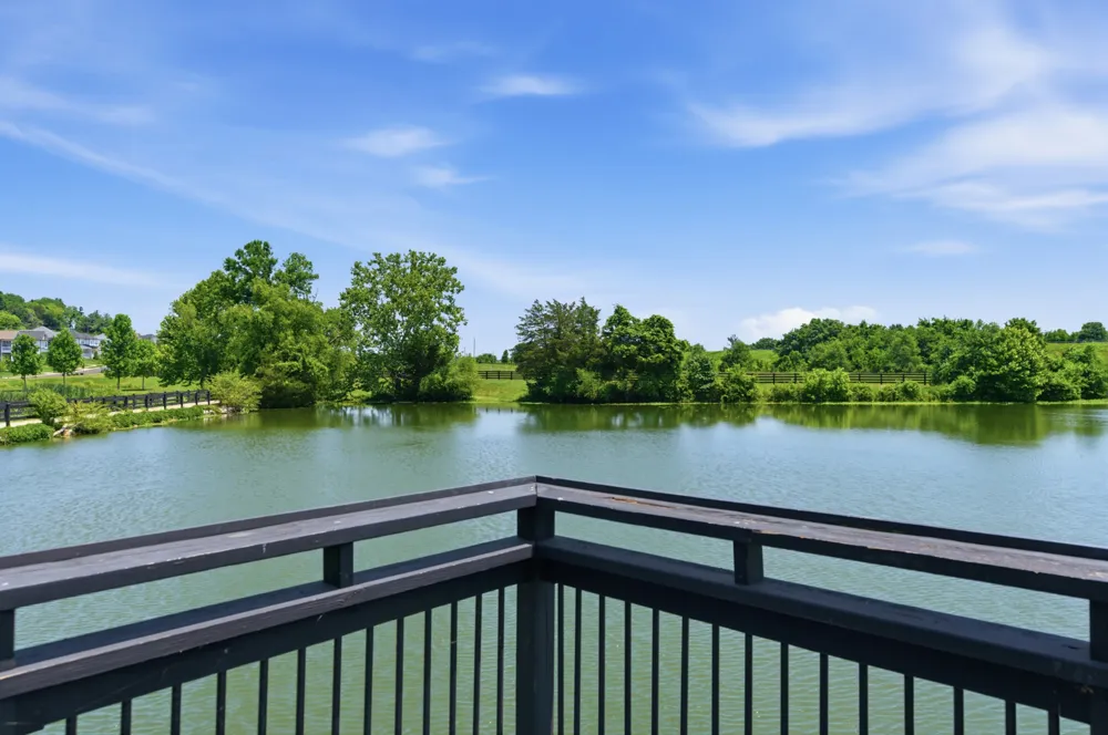 2009 Ellsworth Ln Arrington, TN 37014