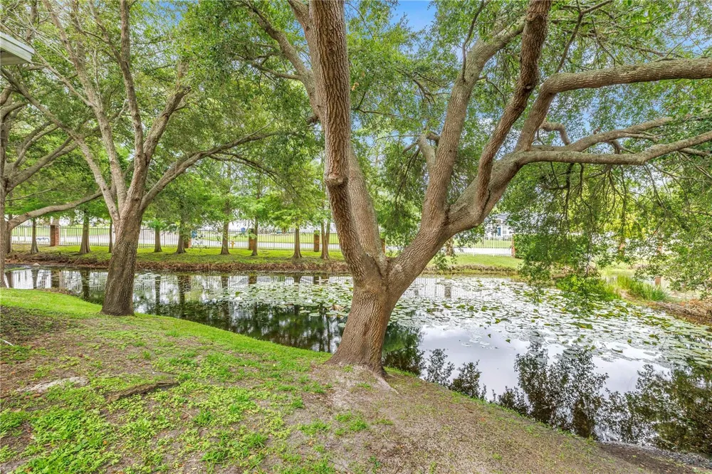 2982 ESTANCIA PLACE Clearwater, FL 33761
