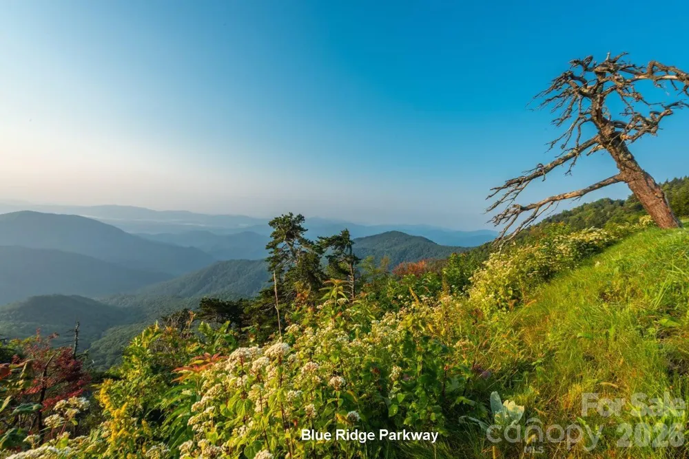2831 Bethany Ford Road Roaring River, NC 28669