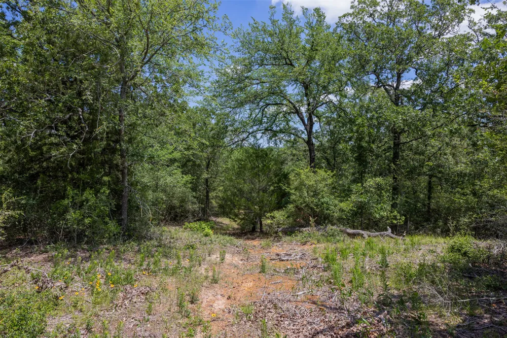 1004 22 Hills Road Gause, TX 77857
