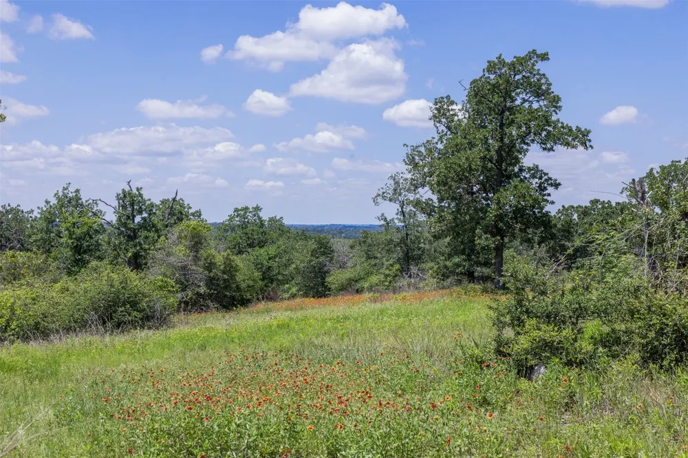 1004 22 Hills Road Gause, TX 77857