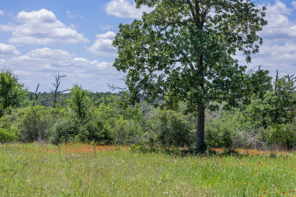 1004 22 Hills Road Gause, TX 77857