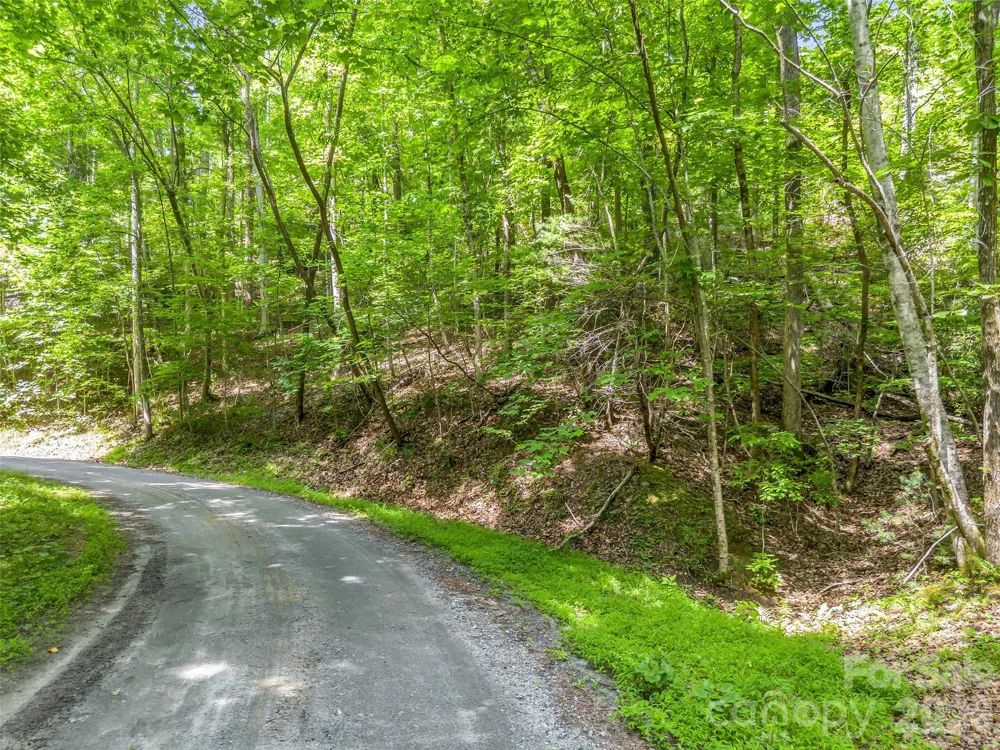00 Chipmonk Trail #107 Lake Lure, NC 28746