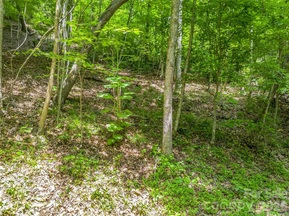 00 Chipmonk Trail #107 Lake Lure, NC 28746