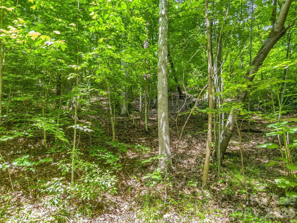 00 Chipmonk Trail #107 Lake Lure, NC 28746
