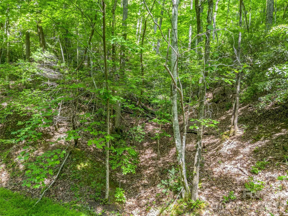 00 Chipmonk Trail #107 Lake Lure, NC 28746